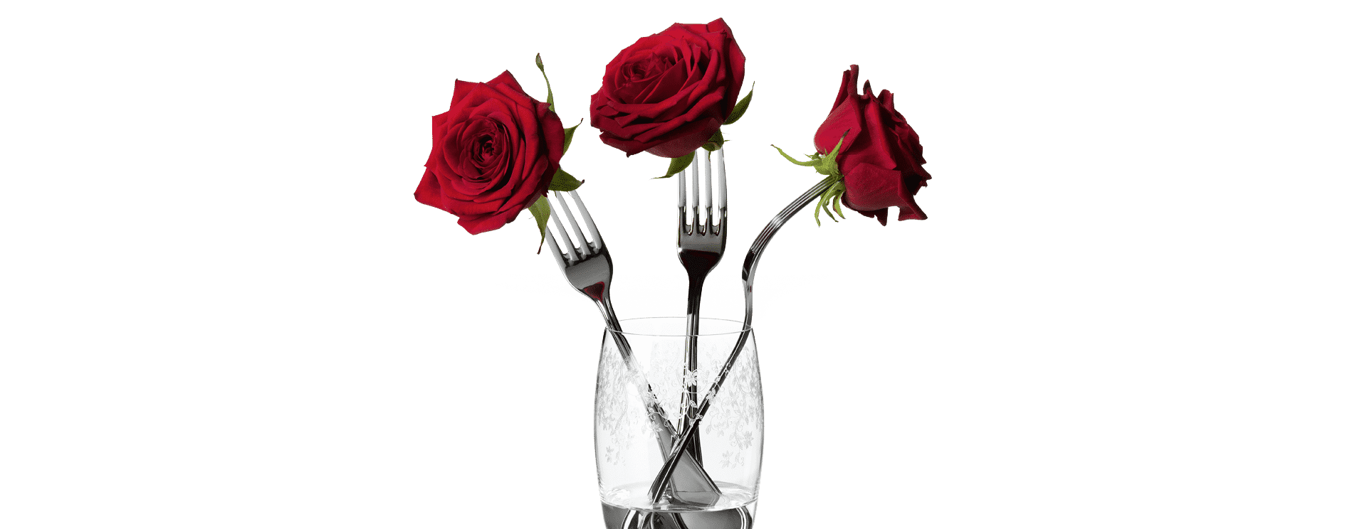 Fork roses  MEIKO