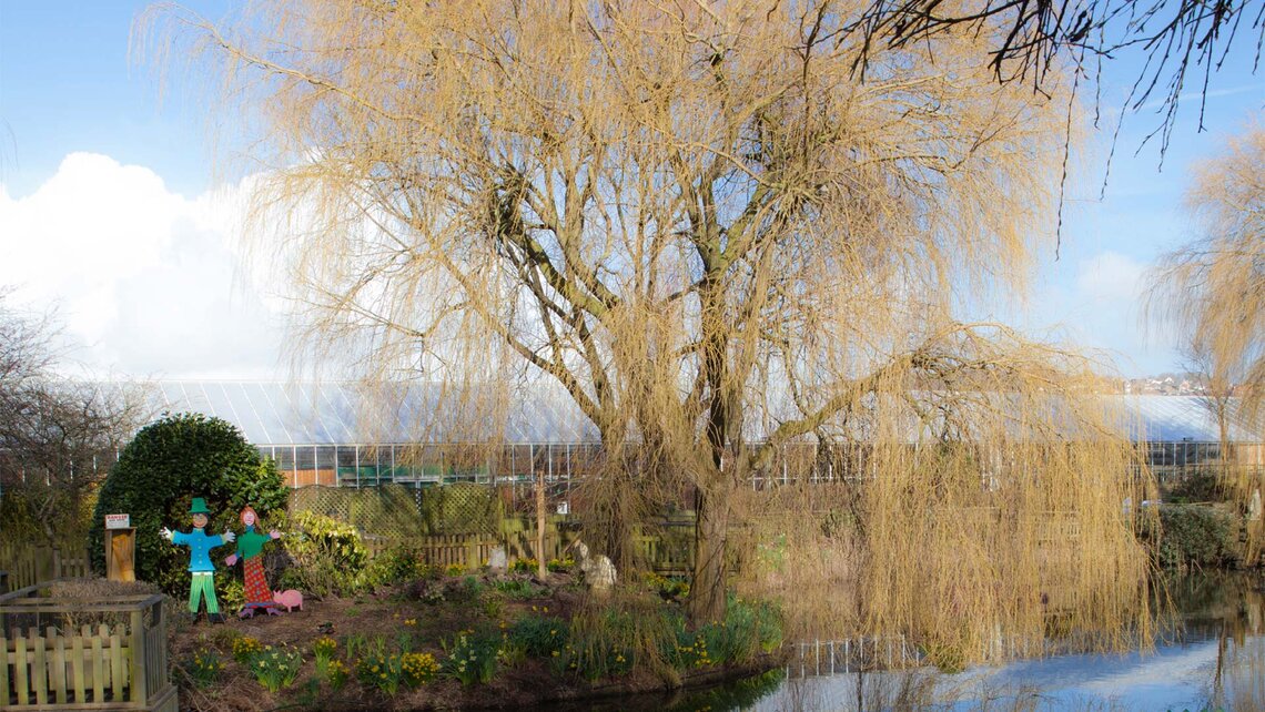 PARK PARADISE Garten