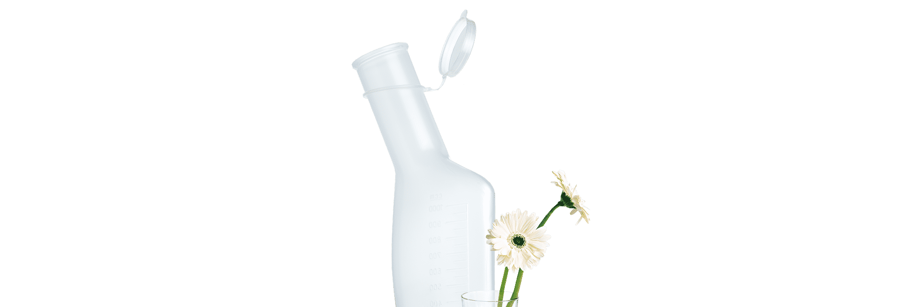 Urine bottle flower