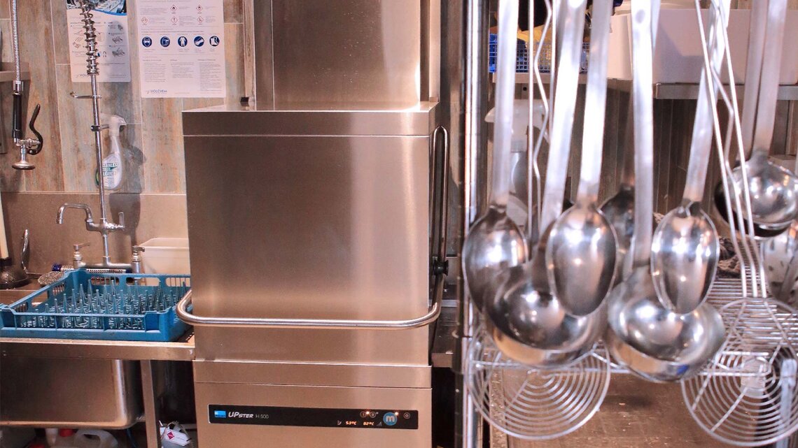 Weeping Willow UPster