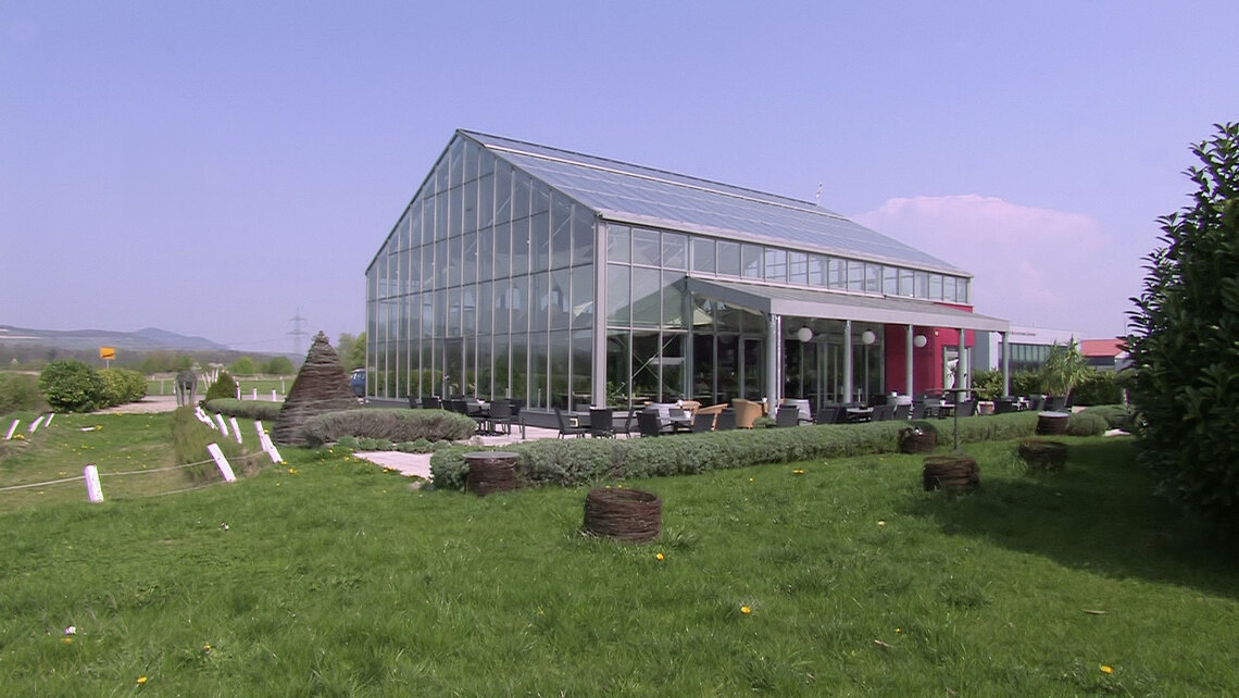 Dialekt MEIKO Teaser