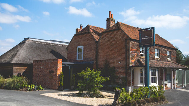 MEIKO Woodspeen teaser