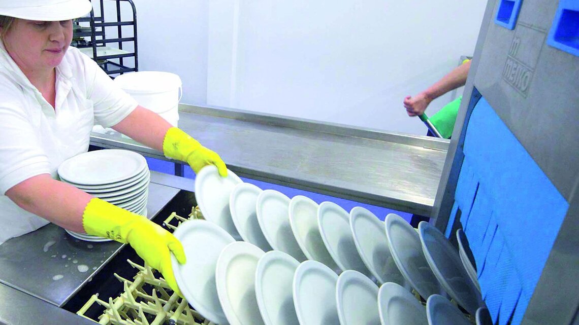 flight type dishwasher