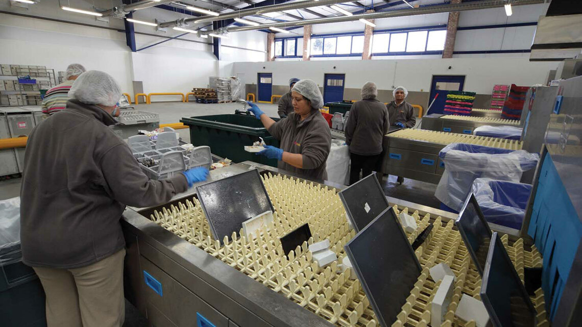 Bandtransport-Spülmaschine Alpha LSG